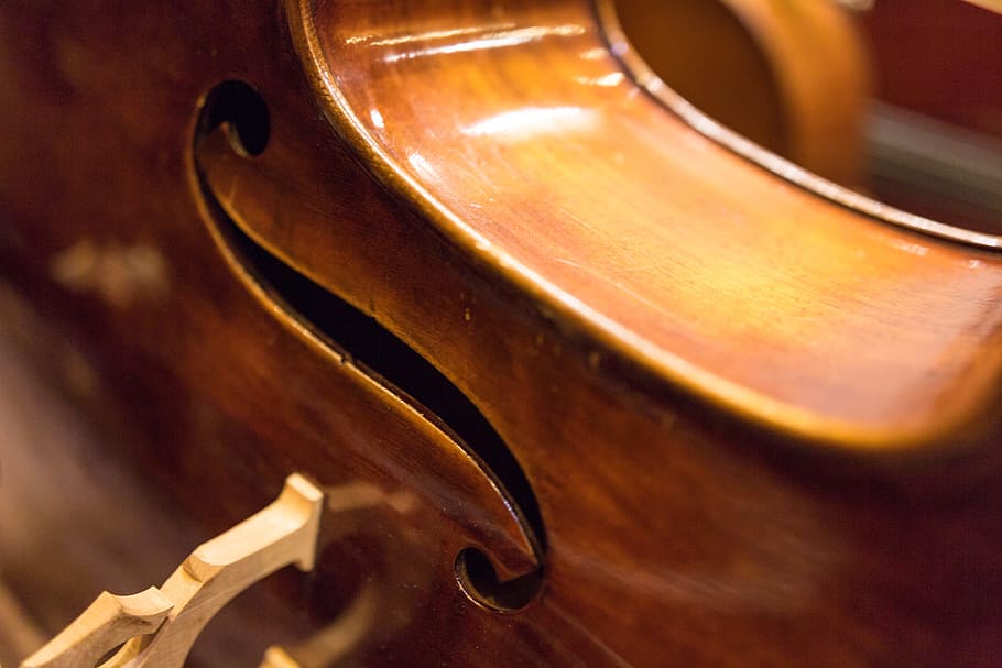 close-up photography, stringed, instrument, wood, wooden, music, classic, violin, cello, musical