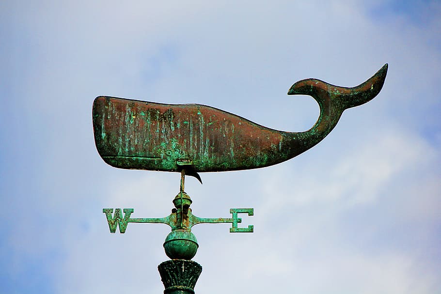 sky, wind direction, west, east, anemometer, weather vane, wal, sheet, metal, iron
