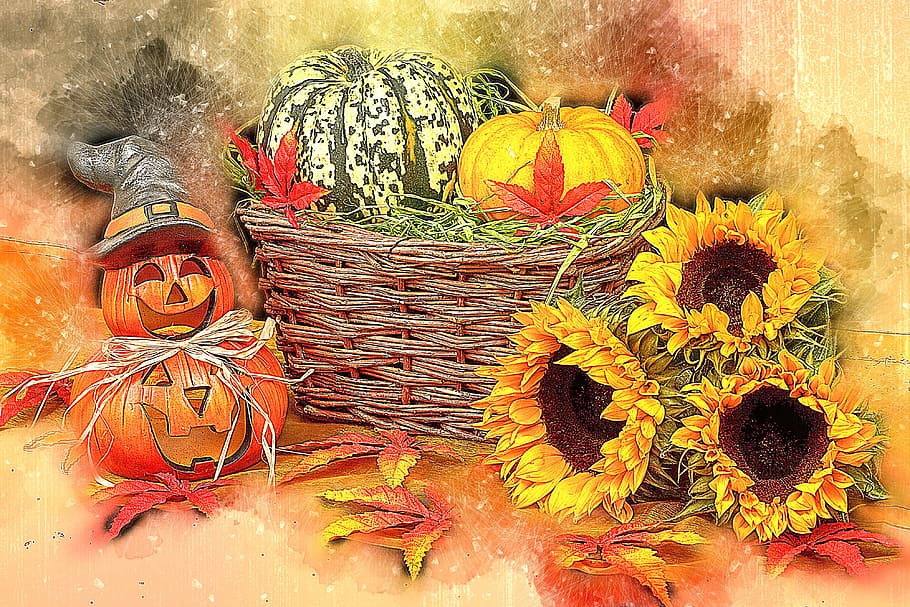 lukisan bunga matahari, musim gugur, hitam, gelap, dekorasi, halloween, panen, liburan, daun, malam