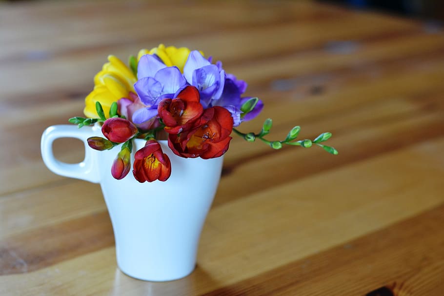 Freesia, Flowers, Fragrant, Decoration, sia, bouquet, flower, wood - Material, table, nature