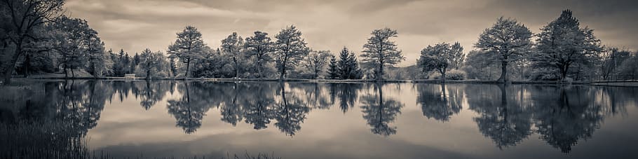 panoramic, view, surrounding, trees, panorama photography, Forest, Lake, panorama, landscape, reflection