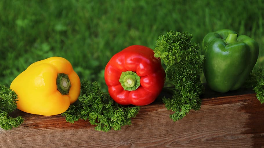 selective, focus, three, bell peppers, paprika, three colors, vitamins, sweet peppers, fresh, closeup