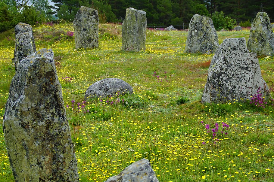 ship date of the deposit of, viking, burial ground, viking graves, wildflowers, prehistoric, sweden, plant, history, solid