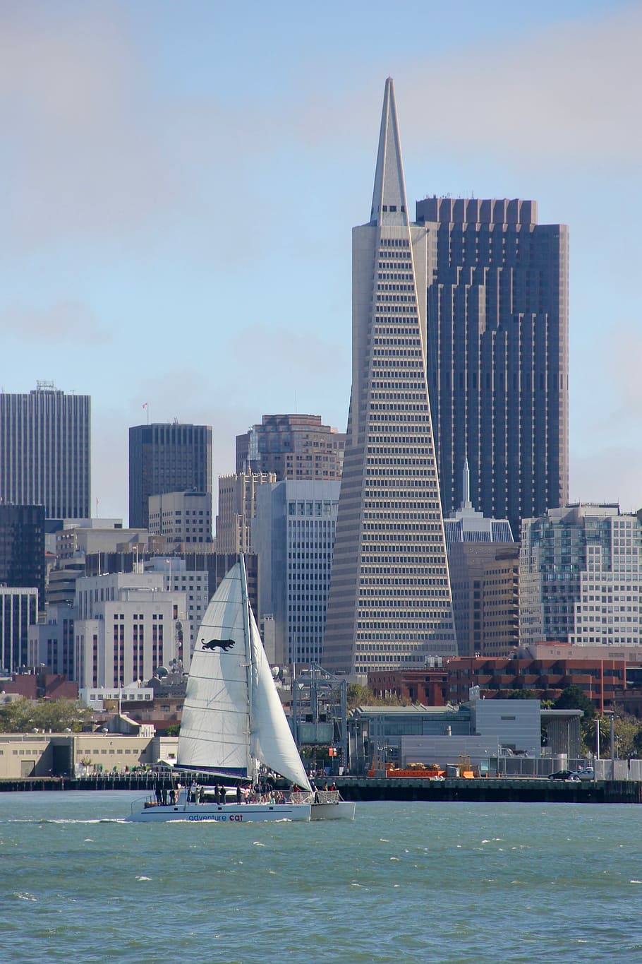 San Francisco, Skyline, Vela, Velero, horizonte de san francisco, california, hito, urbano, turismo, rascacielos