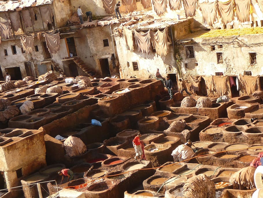 Morocco, Skins, Tannery, Artisans, the tannery, built structure, architecture, day, indoors, building exterior