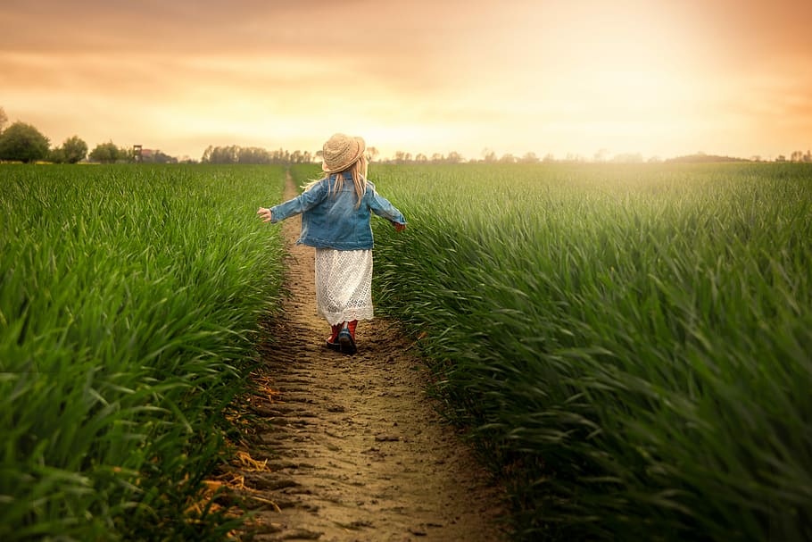 niña, caminar, al lado, verde, campo de hierba, niño, sol de campo, juguetón, puesta de sol, una persona