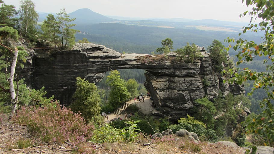 elbe sandstone mountains, bohemian switzerland, pravčická brána, czech republic, mountain, beauty in nature, tree, rock, plant, scenics - nature