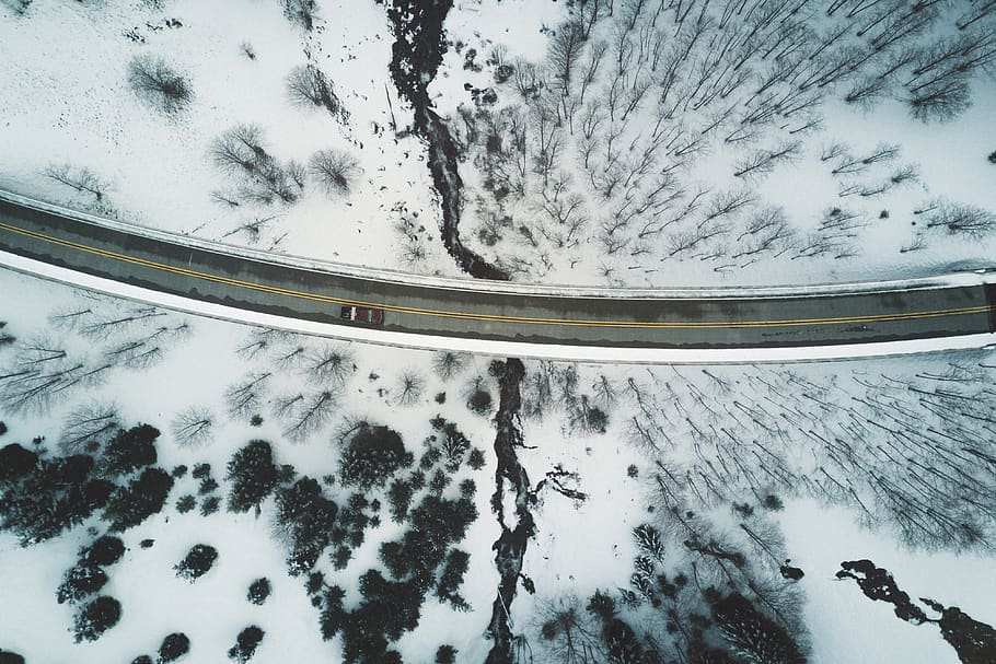 aerial, trees, snow, path, road, lane, mountain, highlands, branches, travel