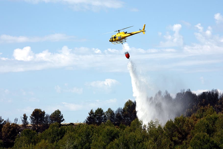 helicopter, seaplane, forest, fire, tree, water, flames, smoke, turn out, turn on