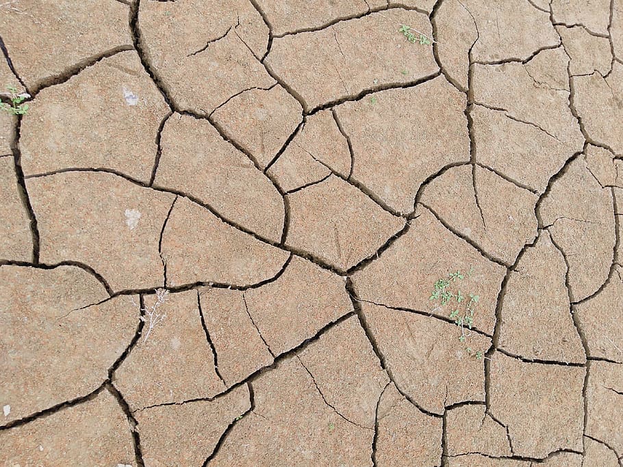 Drought, Infertility, Dry, Cracks, terry, anhydrous, brown, broken cracks, nature, pattern
