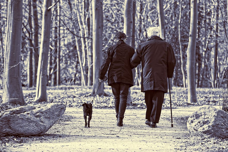 man, walking, gray, pathway, elderly couple, couple, woman, two, two people, together