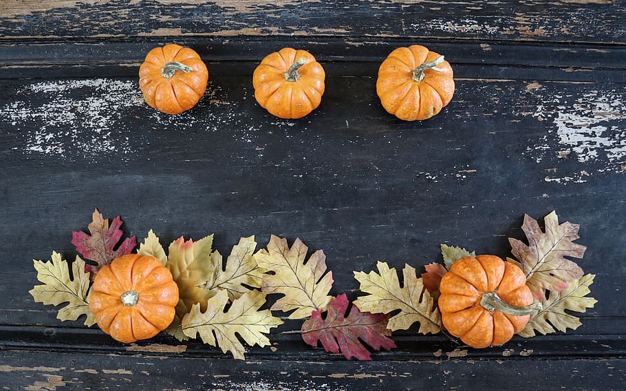 fall background, fall, background, pumpkins, leaves, black, orange, flat-lay, overhead view, seasons