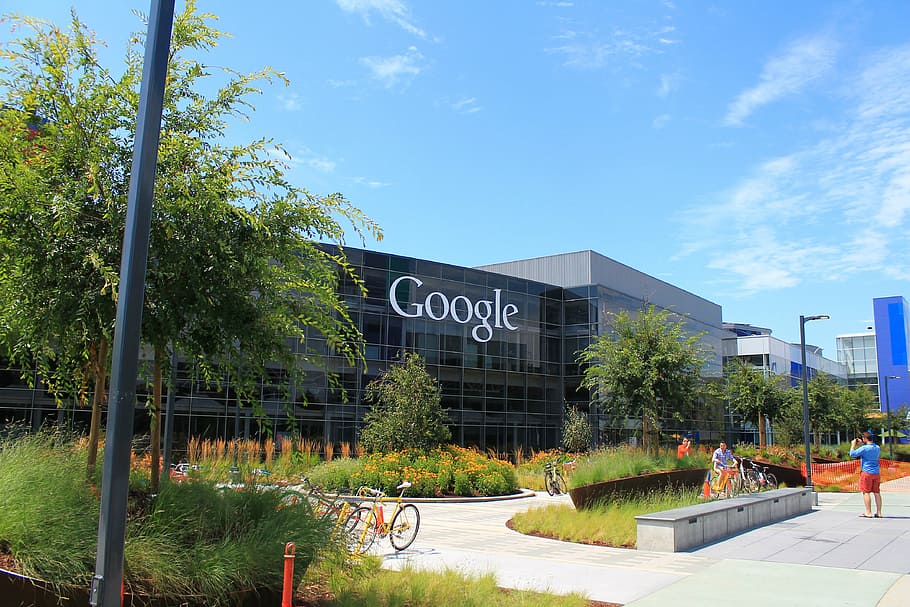 google building, daytime, google, plex, california, logo, office, plant, tree, architecture