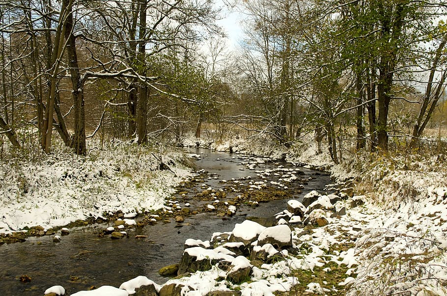 temporada de invierno, nieve, paisaje, viaje, piedras, río, agua, elemento, actual, bancos