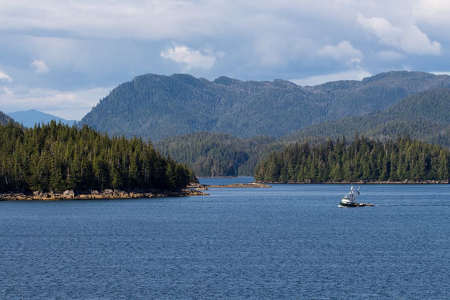 alaska, fishing, boat, trawler, mountain, sea, ocean, bay, blue, trees