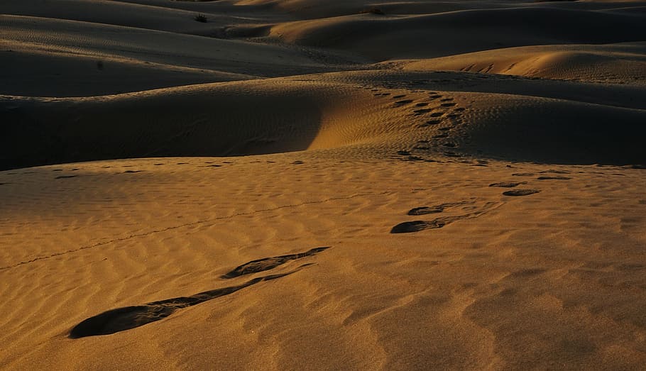 huellas en la arena, huellas, arena, desierto, playa, amanecer, panorama, paisaje, luz solar, visión
