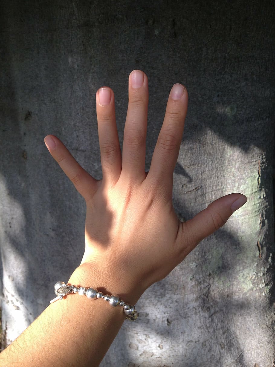 手, 伸ばした手, トランク, 人間の手, 人間の体の部分, 実在の人々, 体の部分, 一人, 個人的な視点, 指