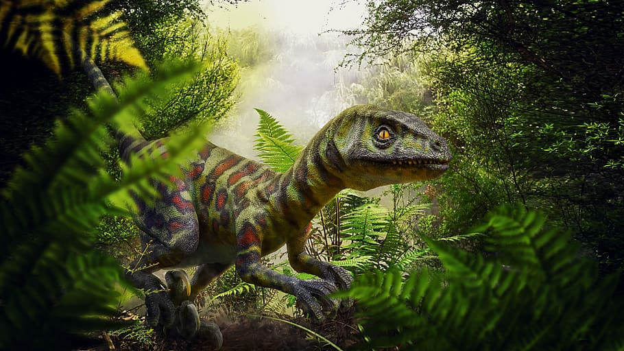 ilustração velociraptor verde, dinossauro, ave de rapina, selva, samambaia, período cretáceo, história, ciência, risco, caça