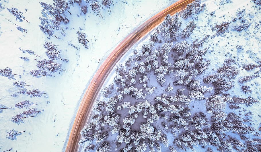 aerial, top view, snow, winter, frozen, cold, forest, nature, plants, trees