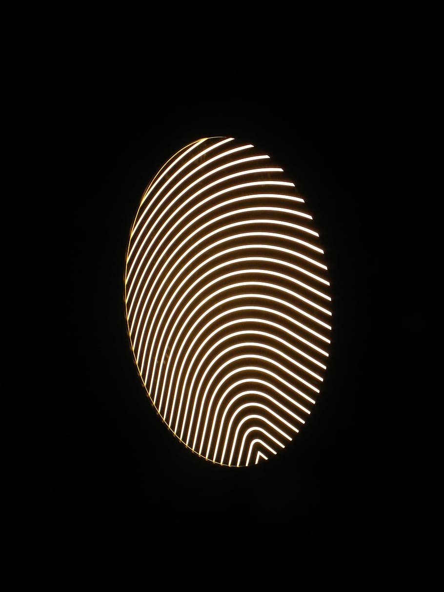 Fingerprint, Finger Print, Light, Lamp, ornament, design, dark, biometrics, thumbprint, abstract