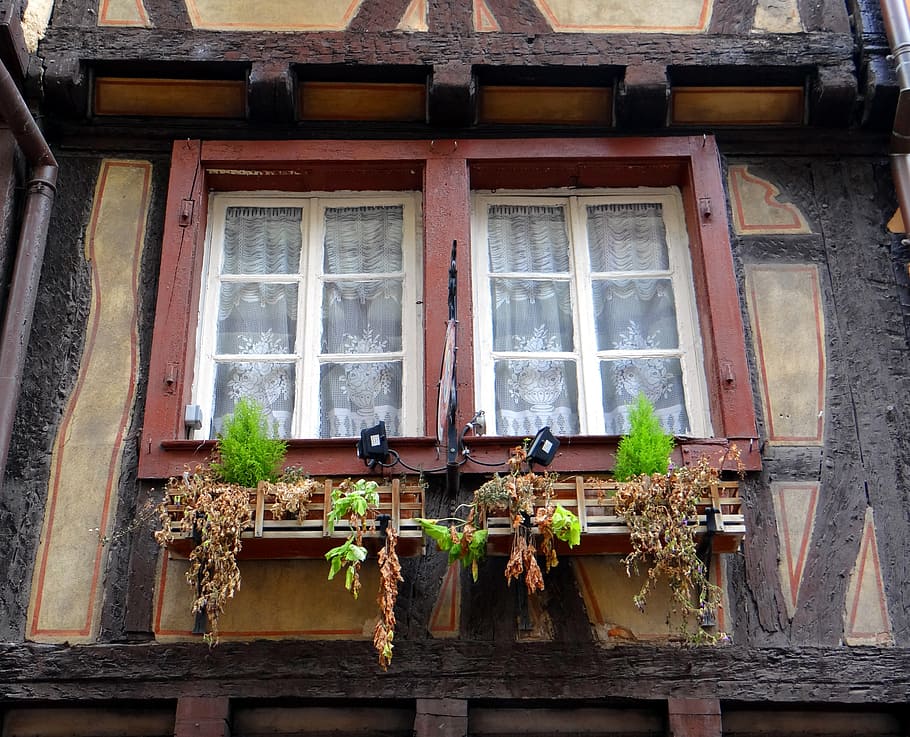 janela, fardo, mórbido, flores, cidade velha, velho, casa, fachwerkhaus, alsácia, colmar
