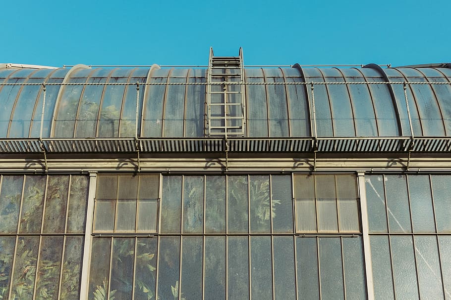 untitled, low, angle, close, glass, window, panels, greenhouse, plants, industrial