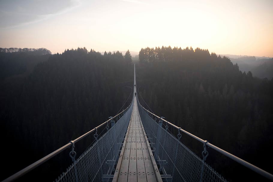 hanging, foot bridge, dusk, suspension Bridge, bridge - Man Made Structure, outdoors, fog, nature, famous Place, sky
