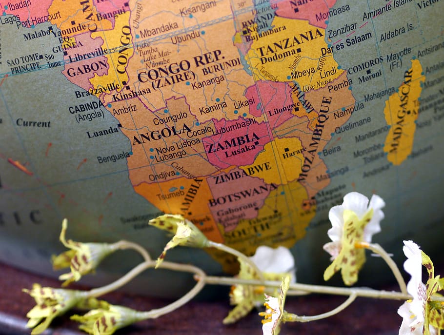 globo, África austral, África, flor, cartografía, texto, sin gente, escritura occidental, primer plano, mapa