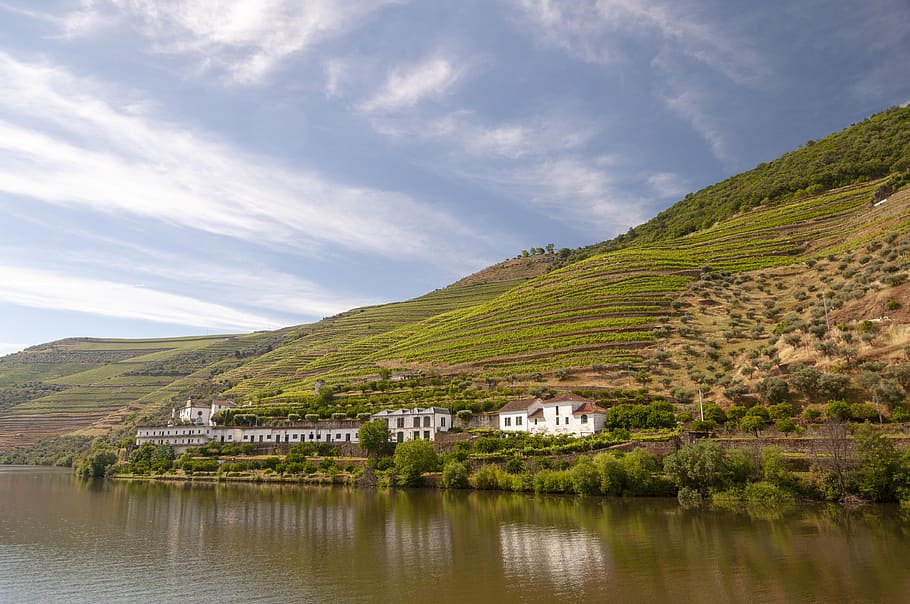douro, rio, fifth, wine, landscape, portugal, tourism, water, sky, scenics - nature