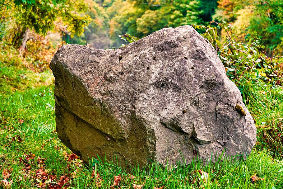 roca, piedra, naturaleza, sólido, áspero, material, macro, natural, planta, ninguna gente