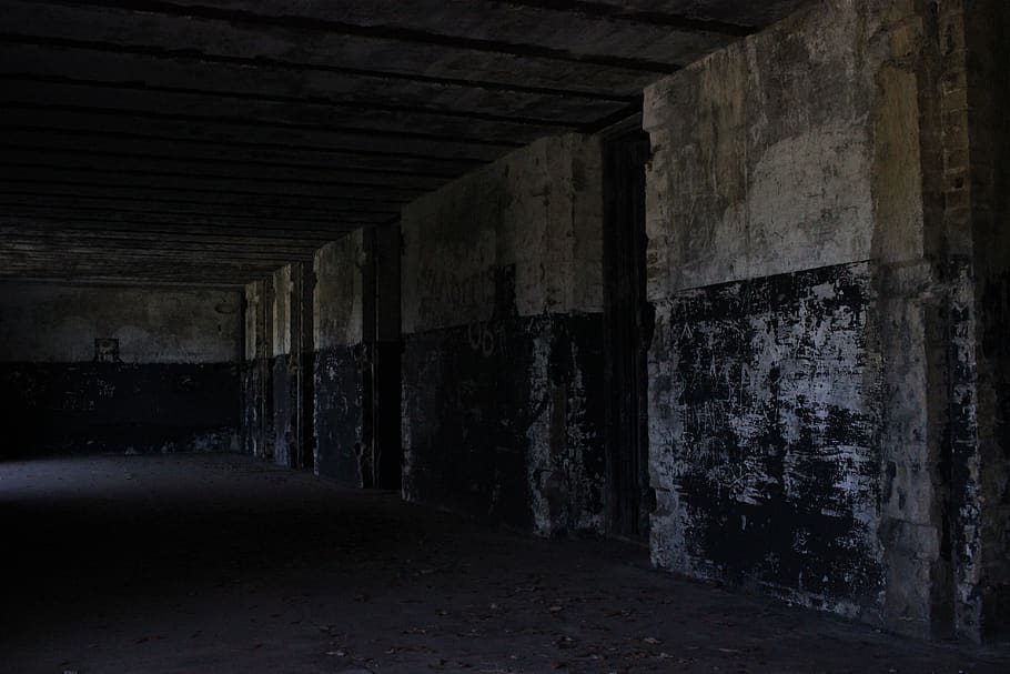 abandoned, fortification, creepy, concrete, bunker, pillbox, historic, defense, rotting, military