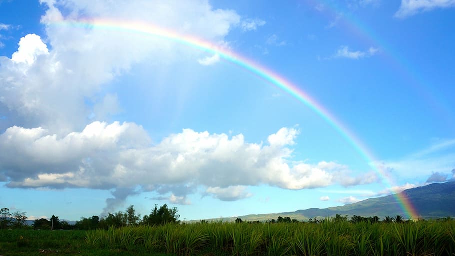 rainbow during daytime, sky, rainbow, clouds, rainbow sky, blue, nature, color, landscape, summer