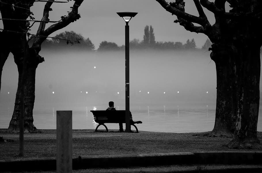 person, sitting, bench, trees, facing, body, water, evening, abendstimmung, fog