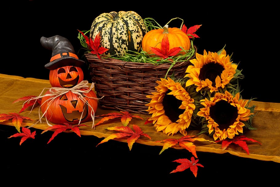 pumpkin, brown, basket, three, sunflowers, autumn, black, dark, decoration, fall