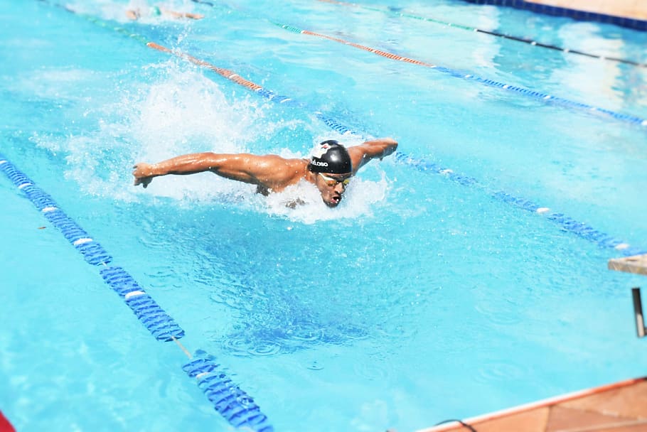homem, natação, piscina, borda, competição, competindo, borboleta, agua, marcador de pista de natação, esporte
