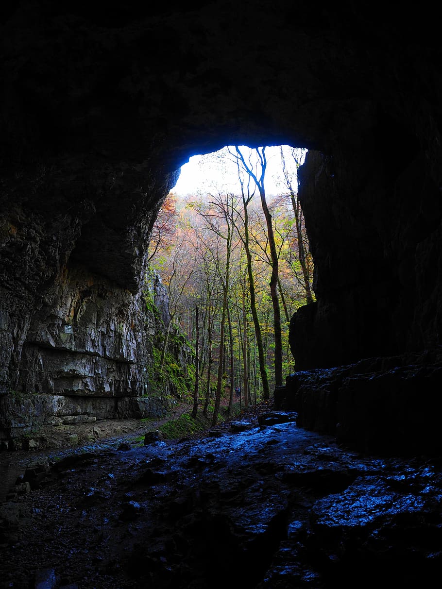 falkensteiner cueva, cueva, portal de cuevas, perfil de la cueva, baden württemberg, swabian alb, grave stetten, bad urach, cueva de agua, karst