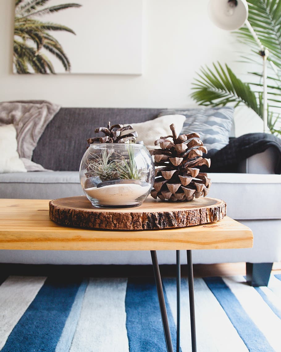 pinecone, wooden, plate, coffee table, house, interior, couch, sofa, living, room