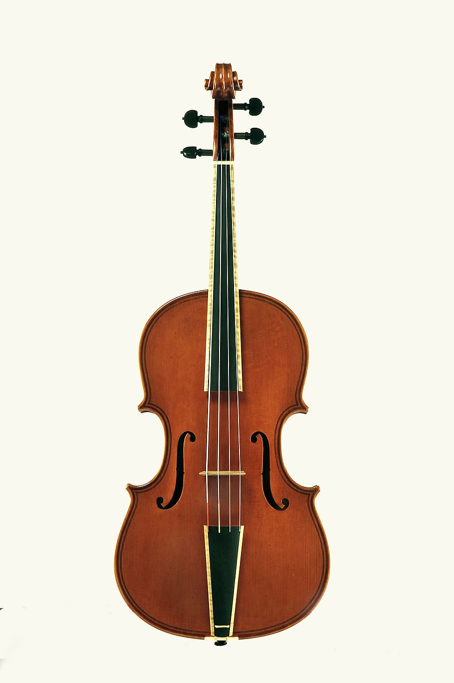 violin, stringed instruments, string instrument, musical equipment, musical instrument, music, studio shot, indoors, white background, arts culture and entertainment