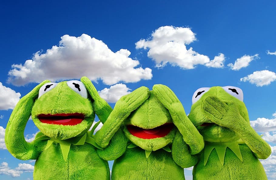 kermit, fondo de pantalla de rana, no escuchar, no ver, no hablar, gracioso, rana, lindo, divertido, verde