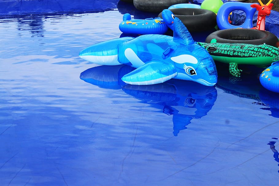 dolphins, toys, blue water, fish, children's games, water, blue, inflatable, swimming pool, floating