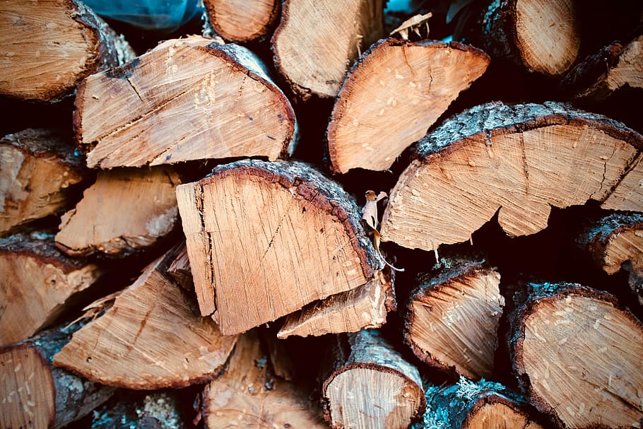 brown, firewood lot close-up photo, wood, tree, nature, firewood, a pile of wood, stump, autumn, woodcutter