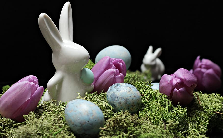 white, rabbit, egg illustration, hare, easter bunny, easter, spring, figure, tulips, purple