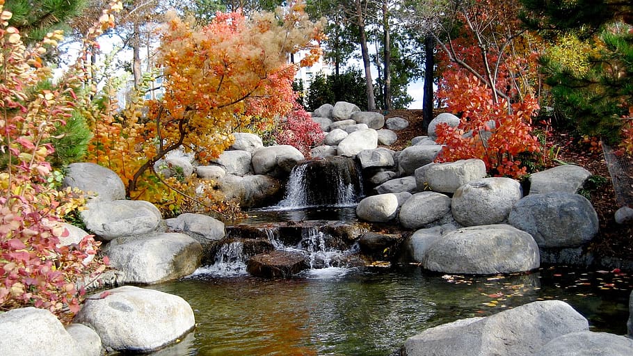waterfall, rocks, water, leaf, fall, autumn, trees, plant, nature, landscape
