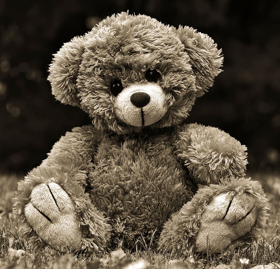 teddy, teddy bear, toys, cute, stuffed animal, bear, soft toy, plush, bears, sweet