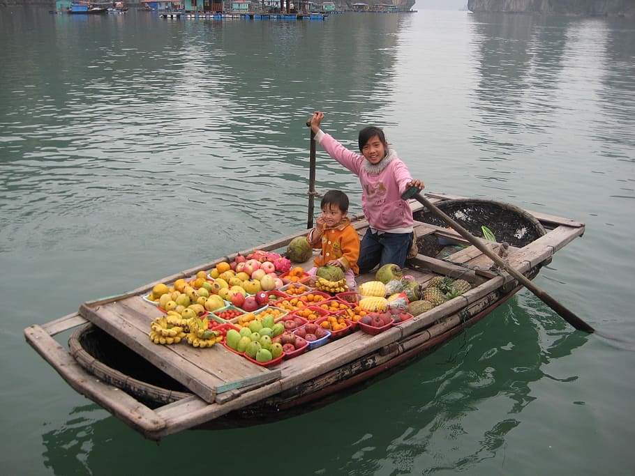 gadis, anak laki-laki, naik, perahu, ikat, buah-buahan, menjual buah, desa nelayan, halong bay, vietnam