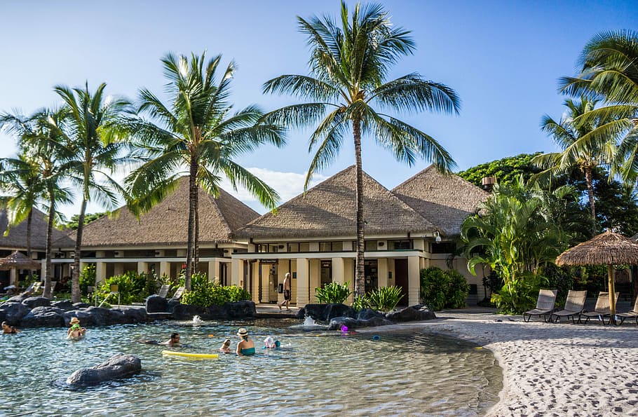 Hawaii, Oahu, Resort, Ko Olina, Marriott, pool, palm trees, outdoor, person, people