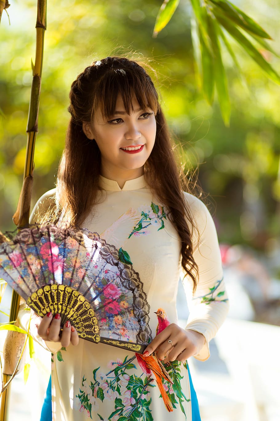 woman, holding, folding, hand fan, the lunar new year, long coat, vietnam, women, ao dai, spring