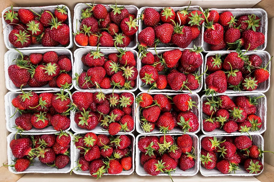 fresco, fresas, mercado de agricultores, fresas frescas, marco lleno, fruta, rojo, vista superior, frescura, alimentos