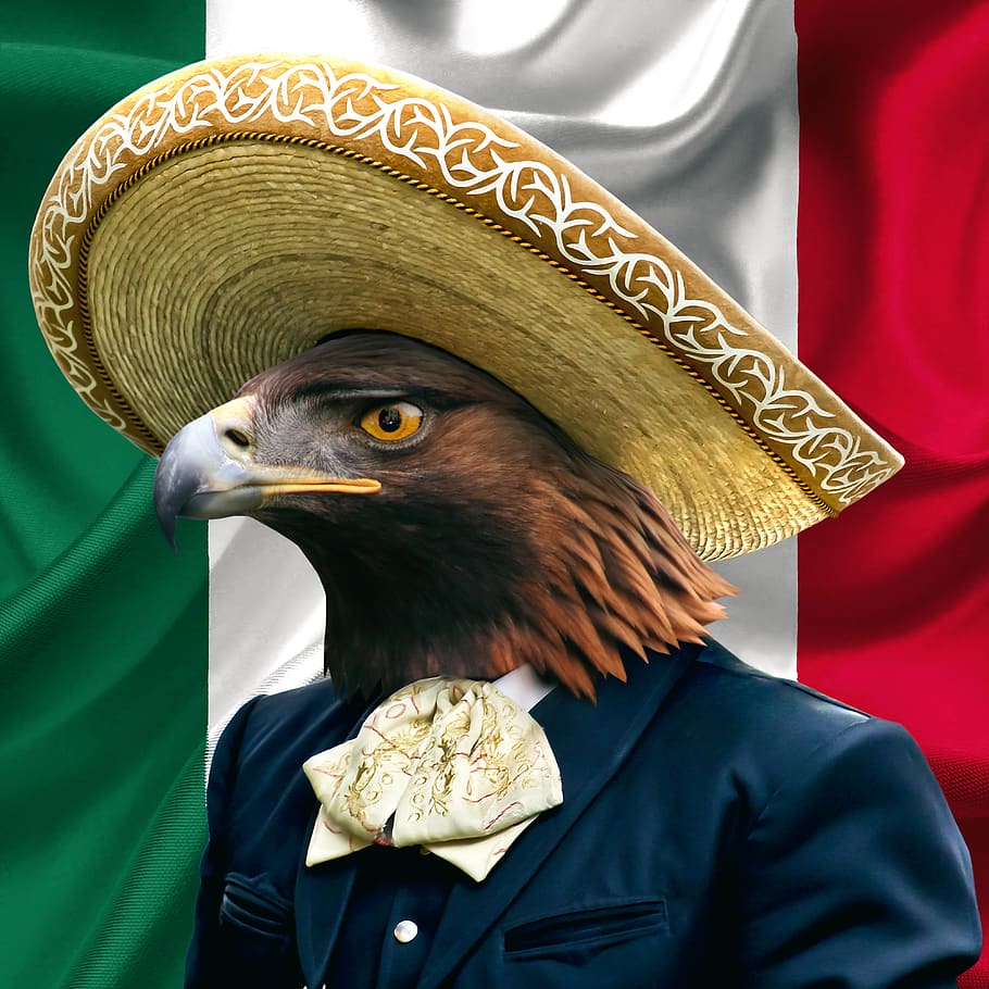 México, mexicano, dorado, águila, sombrero, símbolo, bandera, pájaro, emblema, patriotismo
