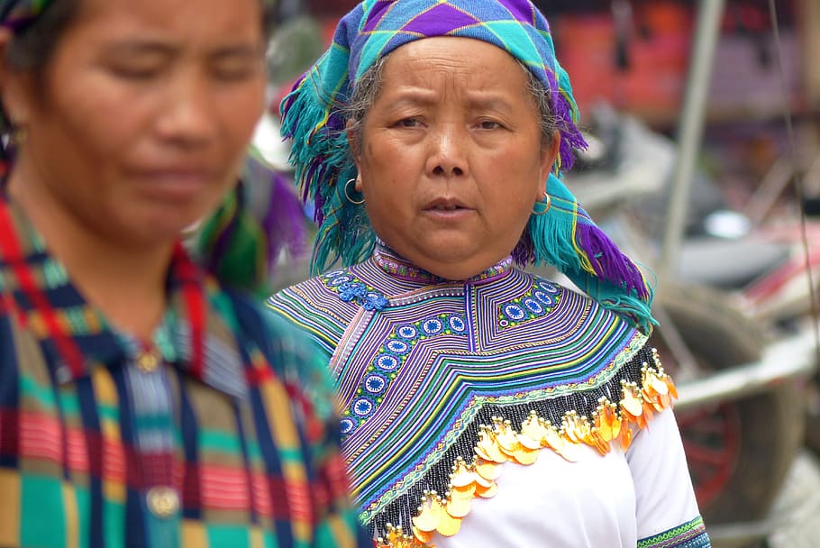 vietnam, hmong, wanita, orang, suku, kostum, minoritas, dewasa, dua orang, pakaian tradisional